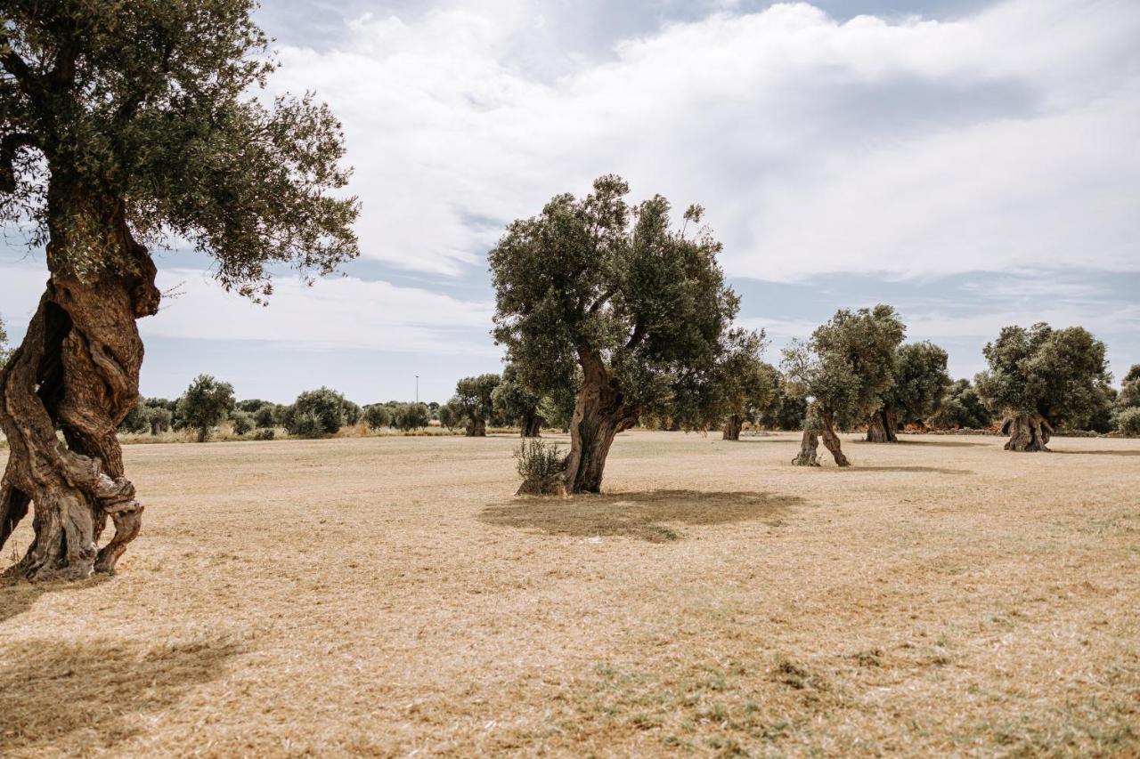 Masseria Garrappa Fasano Bagian luar foto