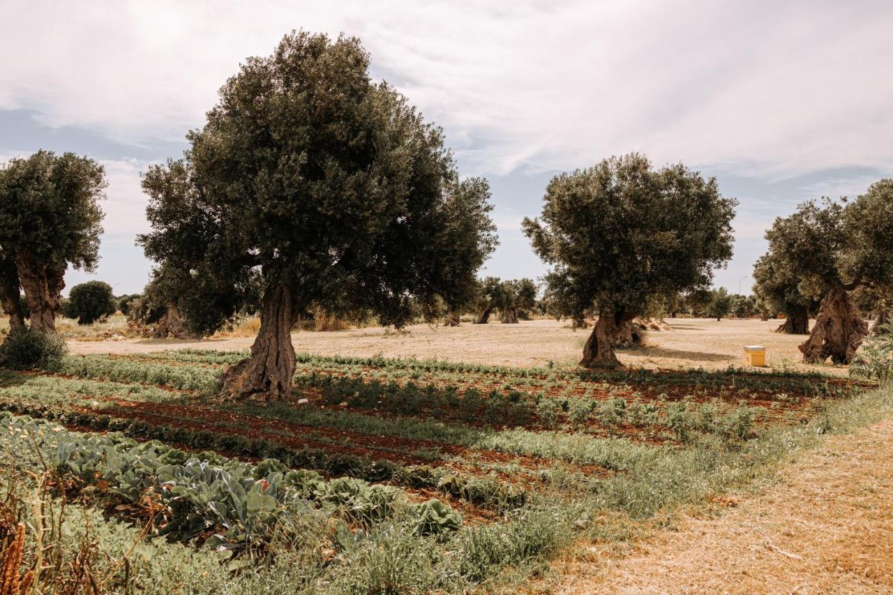 Masseria Garrappa Fasano Bagian luar foto