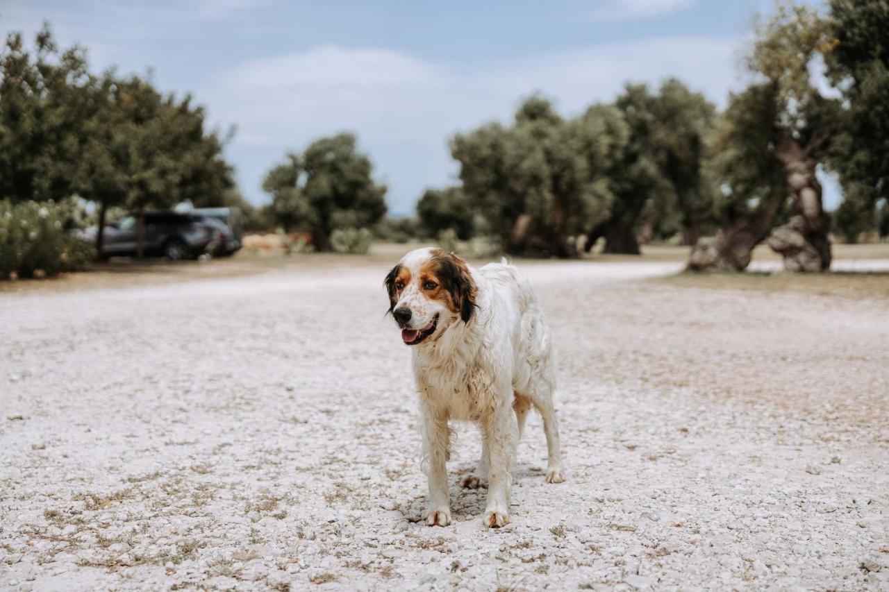 Masseria Garrappa Fasano Bagian luar foto